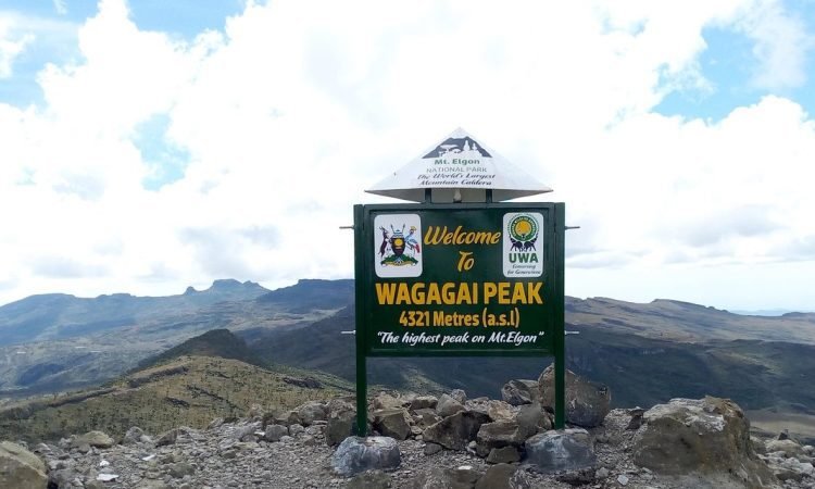 Wagagai Peak summit