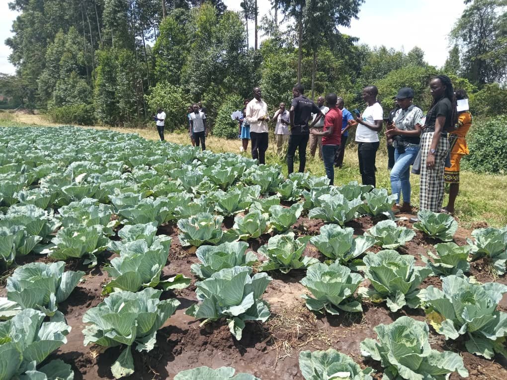 Organic farming training