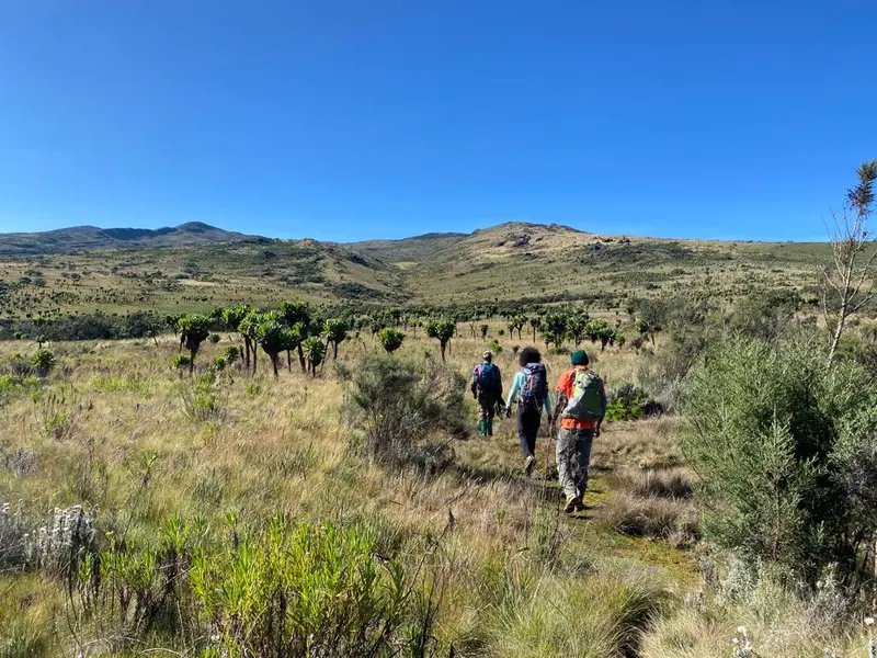 Bushiyi Trail landscape