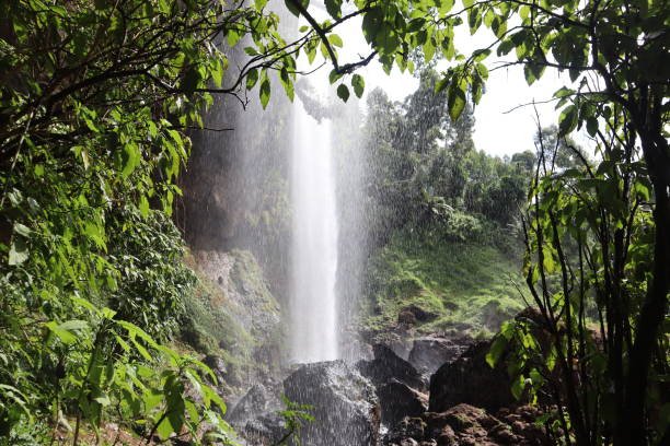 Main Sipi Falls 100m drop