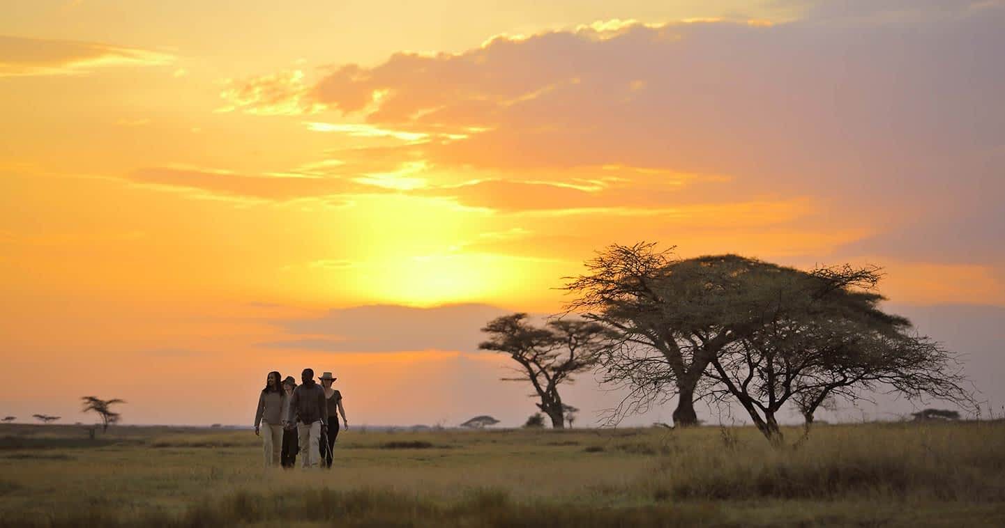 East Africa Safari