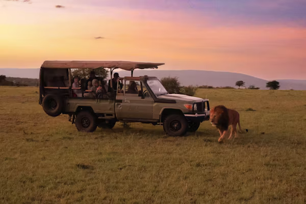 Best time to visit Uganda for safari in 2026: month-by-month guide