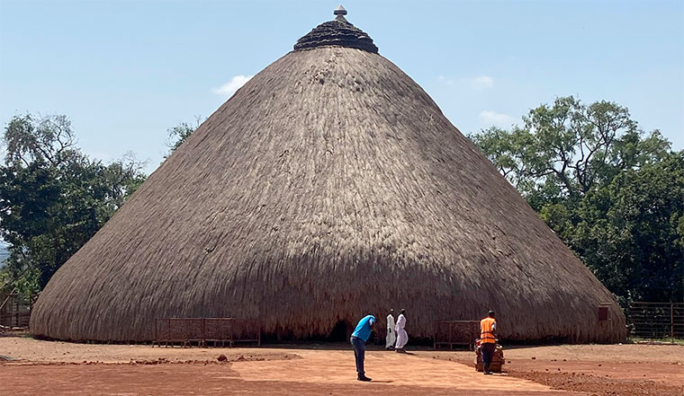 Best time to visit Uganda for safari in 2026: month-by-month guide