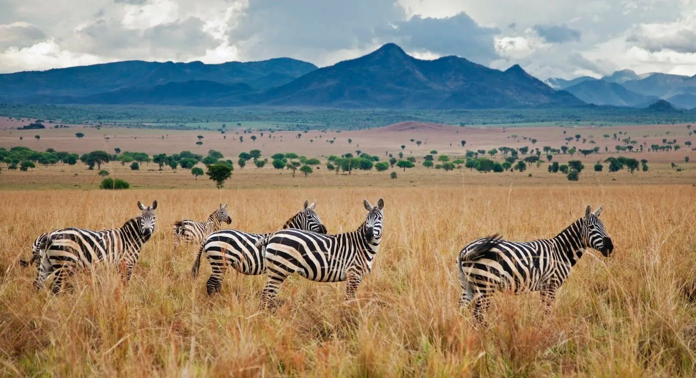 Savannah landscape of Kidepo Valley National Park Uganda